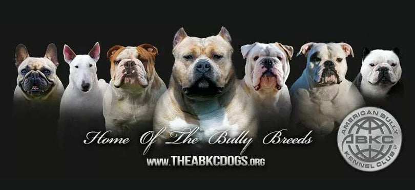 dog breed 810 372.jpg